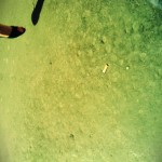 FxCam_1272382604199
